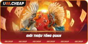 Giới thiệu tổng quan